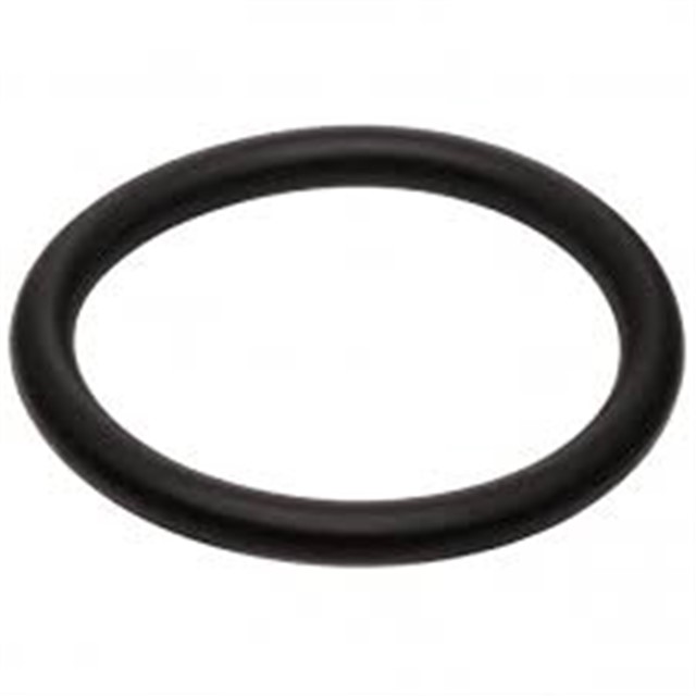 O - RING FOCUS 2004 / FOCUS CMAX 2003