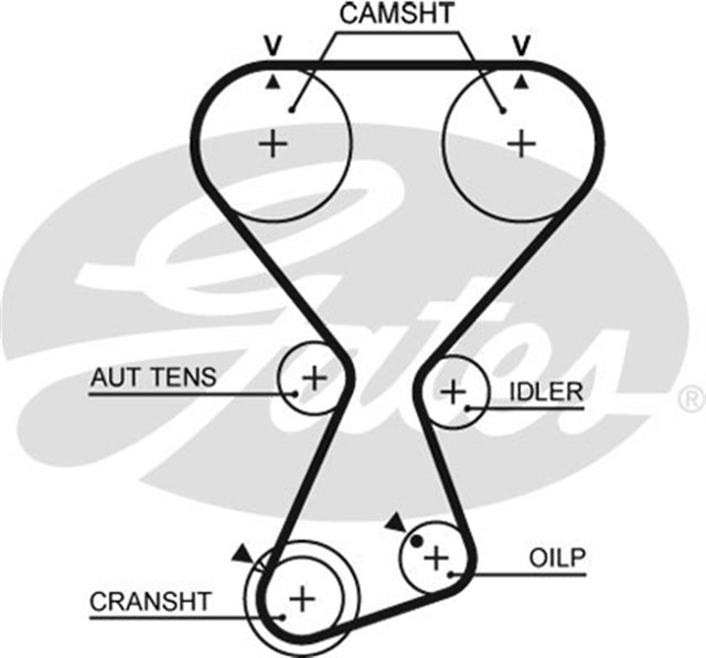 TRIGER KAYISI 175X290 HYUNDAI 2.4 16V HI 01 - 07 H200 03 - 04 SONATA 98 - 01 STAREX 03 - 07 CT1075