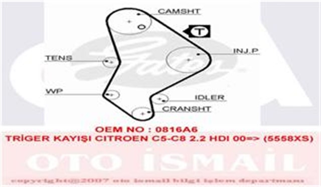 TRIGER KAYISI 146X1391X25.4 P406 - P607 - P807 - C5 - C8 - ULYSSE 2.2 HDI - JTD