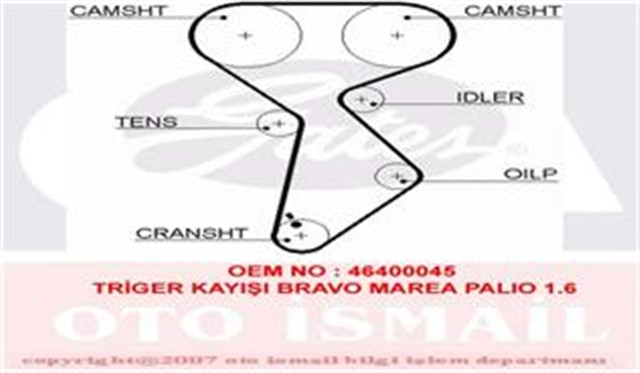 TRIGER KAYISI 158X254 BRAVO - BRAVA - MAREA - PALIO 1.6 GD158H8P254 CT879