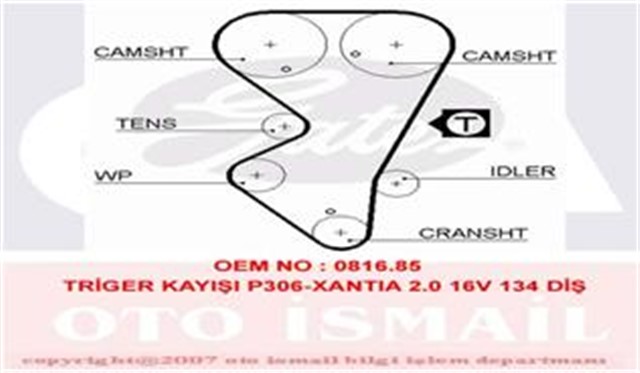 TRIGER KAYISI 134X254 CITROEN XANTIA ZX 2.0 16V 92 - 98 PEUGEOT 306 405 2.0 16V 92 - 97 CT864