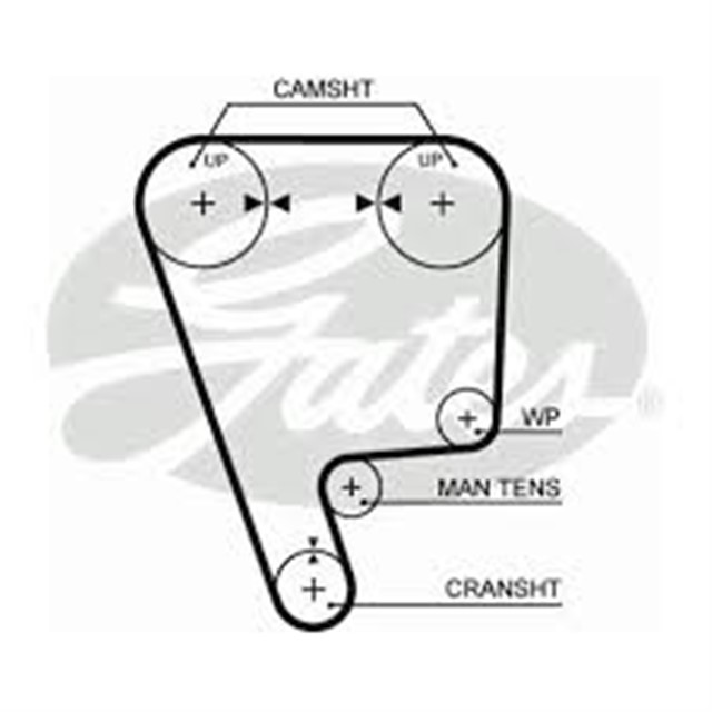 TRIGER KAYISI 124X260 HONDA CIVIC 1.6 16V 90 - 01 CT794