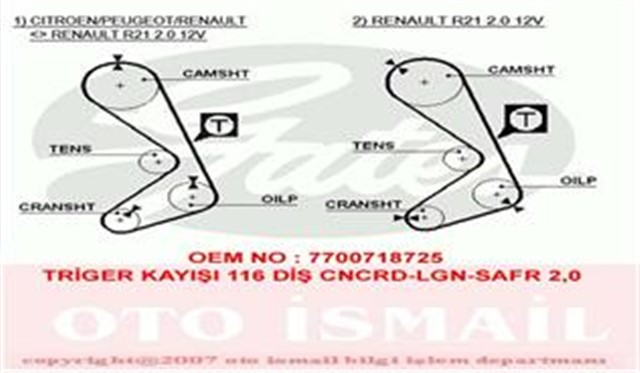 TRIGER KAYISI 116X190 116 DIS CNCRD - LGN - SAFR 2.0 GD116H9 - 5P190 CT749