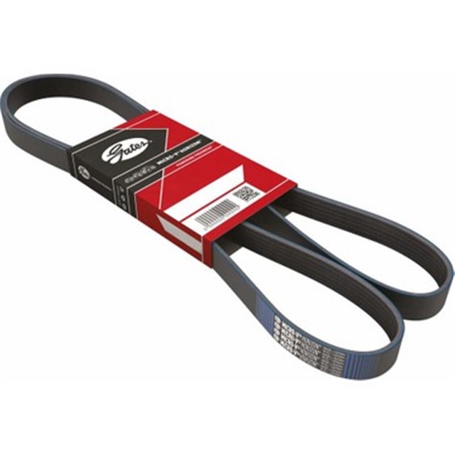 X KANALLI KAYIS CLIO KNG TWNG 1.2