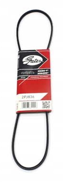 KANALLI KAYIS PASSAT 1.8 8V 82 - 88 - AUDI 80 - COUPE - CABRIOLET