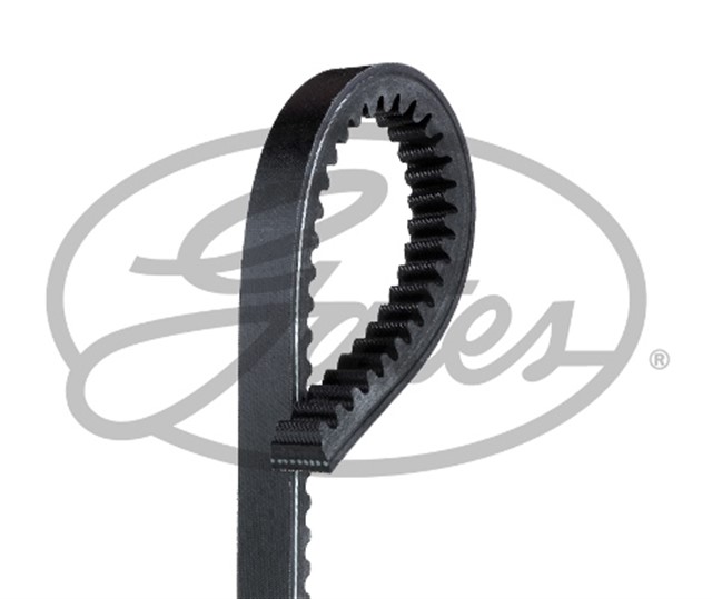 IG - HI - POWER MN BELTS B40MN 17X1025LI AUTOREPL - HD