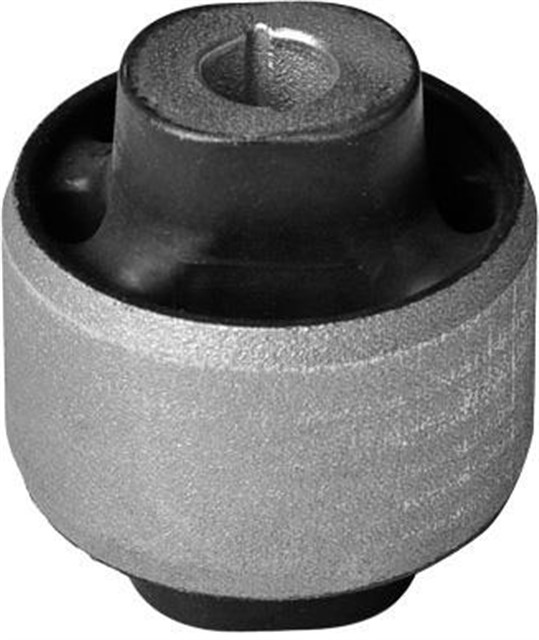 SALINCAK BURCU BUYUK MGN III - FLUENCE - SCENIC III - MGN CC