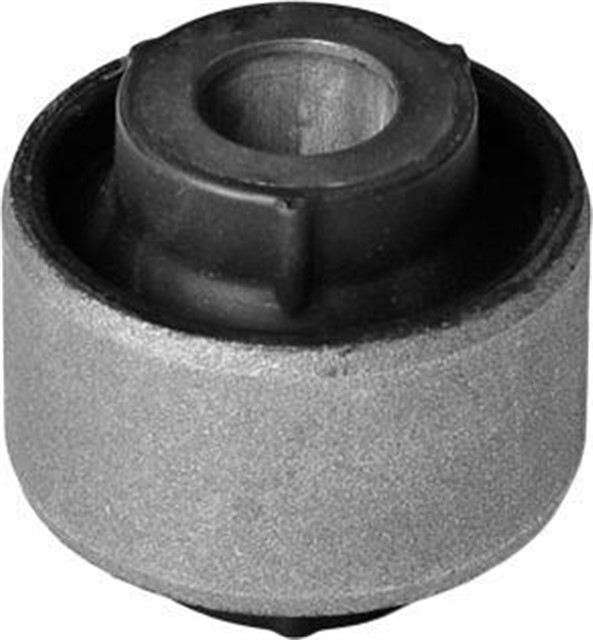 SALINCAK BURCU KUCUK MGN III - FLUENCE - SCENIC III - MGN CC