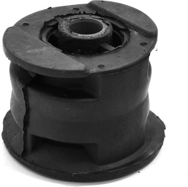 SANZUMAN BAGLANTI BURCU LGN