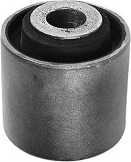 SALINCAK BURCU DUZ CLIO