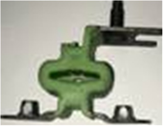 EGZOZ TAKOZU ORTA KNG II