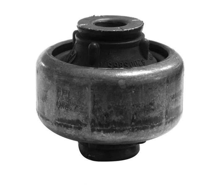 SALINCAK BURCU BUYUK KANGOO II