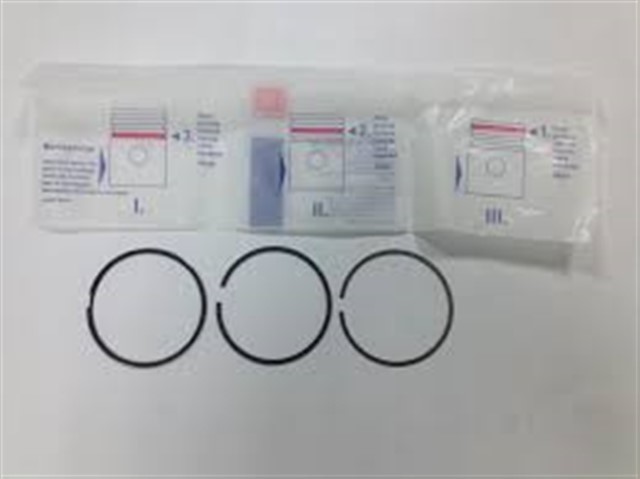 MOTOR SEGMANI 0.40 72.00 MM ALBEA - DOBLO 1.4 8V 684430000 040