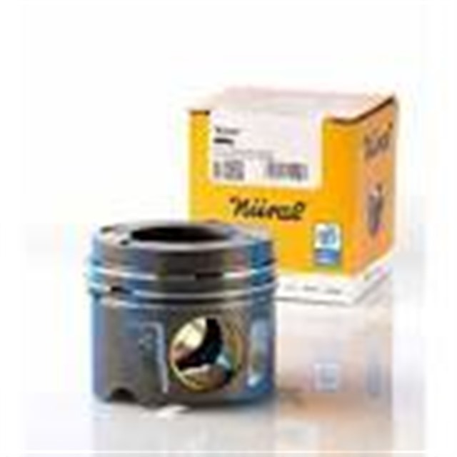PISTON SEGMAN STD 81.00 ARTEON 17 2.0TDI DFGA 110 KW - 150 PS