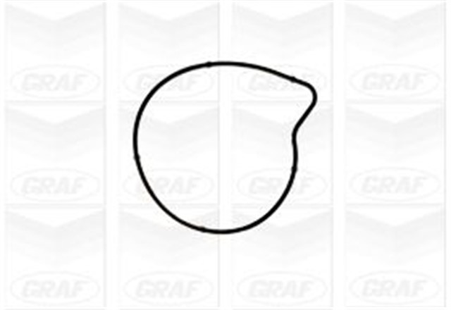 DEVIRDAIM POMPASI MERCEDES OM640 W169 W240