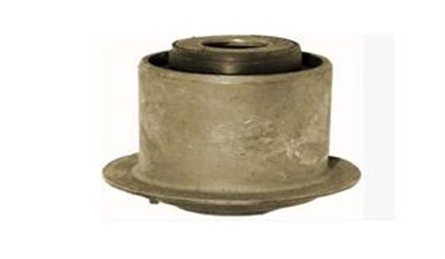 SALINCAK BURCU SAPKALI CIVIC YM