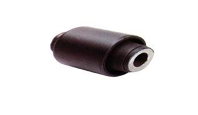 SALINCAK BURCU ON DIS CAP 37.2 CIVIC