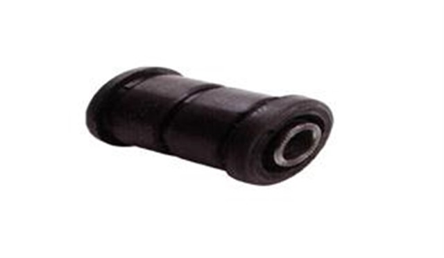 SALINCAK BURCU ON SAPKALI CORONA - CARINA