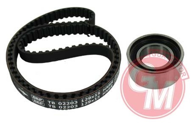 EKSANTRIK GERGI RULMANI FIAT SLX - TMPR 1.6 - TIPO - UNO - PALIO - DOBLO - FIORINO - PUNTO - ALBEA - DUCATO 1.4