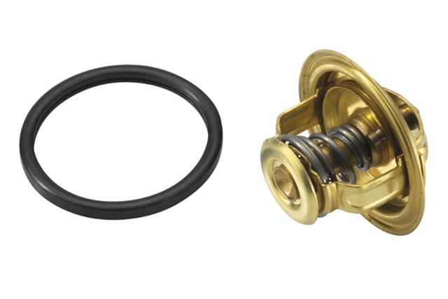 TERMOSTAT 79 C ALFA ROMEO ALFETTA - RENAULT MASCOTT - MASTER I - MASTER II - TRAFIC - RENAULT TRUCKS MASCOTT MESSENGER - IVECO DAILY I - DAILY II