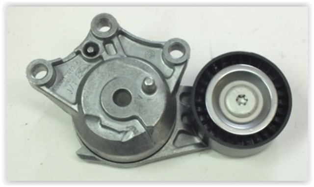 ALTERNATOR GERGI RULMANI DS4 - P208