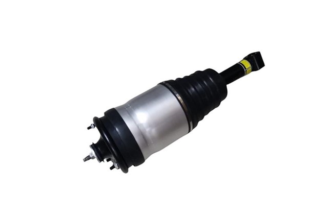 AMORTISOR VE KORUK ARKA R - L LR041110 RRS