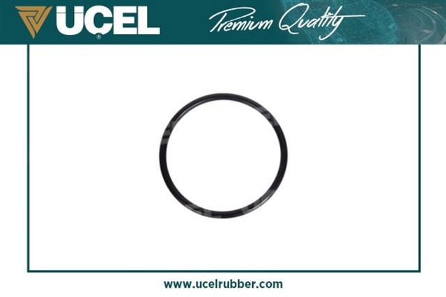 GAZ KELEBEGI CONTASI 63MM X 4MM INCE DACIA DUSTER 1.6 16V 4X4 - HI - FLEX