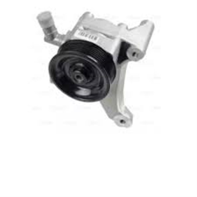 DIREKSIYON POMPASI DUCOTO 2.3D