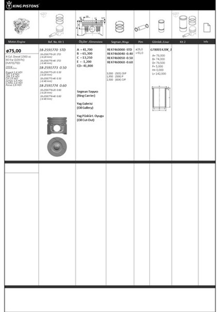 PISTON SEGMAN 1 RIKEN SEG. STD 75 FORD - PEUGEOT - CITROEN DV6TD - TED EXPERT 1.6 HDI 307 - 206 - C4 - JUMPY - C - MAX FOCUS 8771783 STD - 8771783STD000G - 8771783STD000G