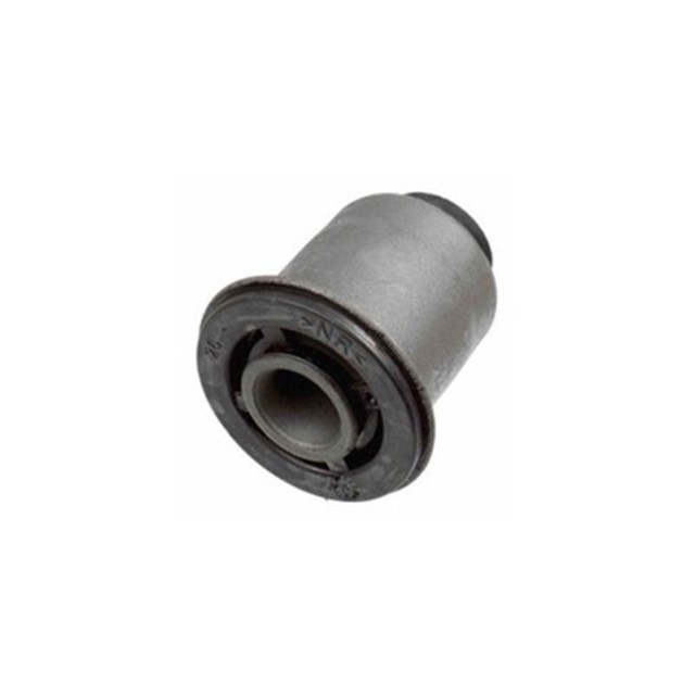 SALINCAK BURCU KUCUK RENAULT MEGAN II 02 SCENIC II 03