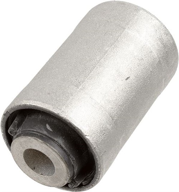 ON SALINCAK BURCU ORTA AMAROK 10