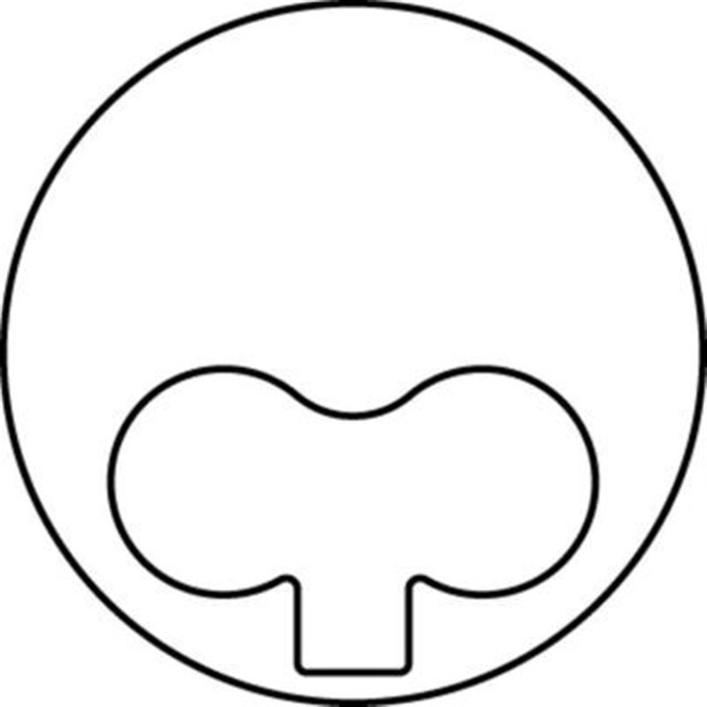 X MOTOR PISTON SEGMAN 0.60 DUCATO - MASTER 2.5D 93.60 8140 67.2700.EURO2