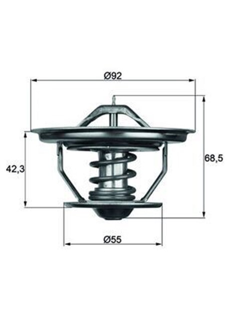 TERMOSTAT THERMOSTAT INSERT