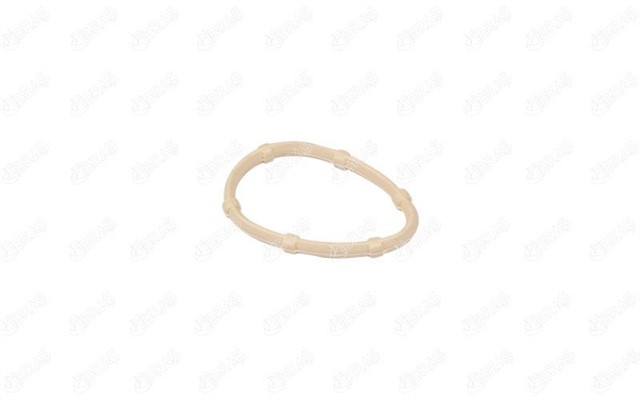 EMME MANIFOLD CONTASI DACIA DUSTER 1.6 16V 4X4 11