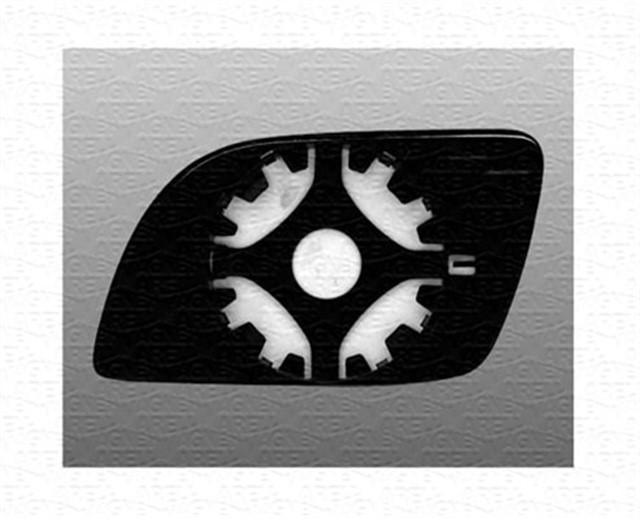 AYN CAMI SAG VAG POLO