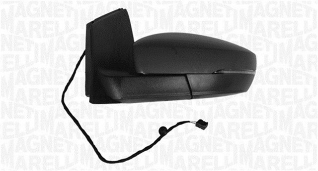 AYN GVDE SAG VAG POLO