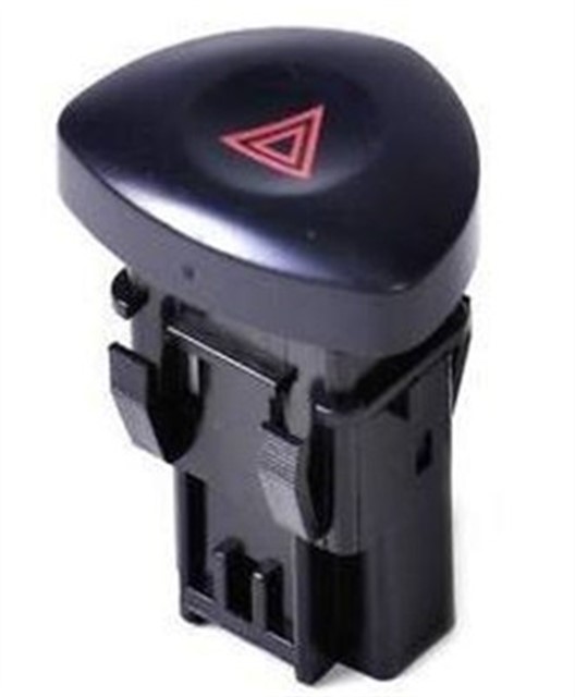 DORTLU FLASOR ANHTR CLIO II