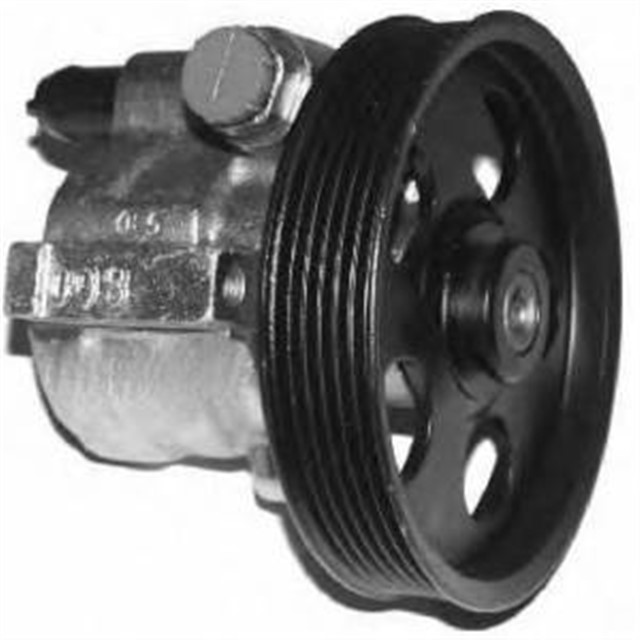 DIREKSIYON POMPASI HIDROLIK CLIO - KNG - MGN F3R 6 KANAL KASNAKLAR ICIN