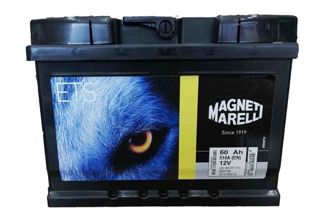 AKU 12V 60 AH 278X175X190 ETS60TRF FORD