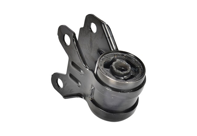 SALINCAK BURCU DIS SAG FOCUS III 10 CMAX 2010