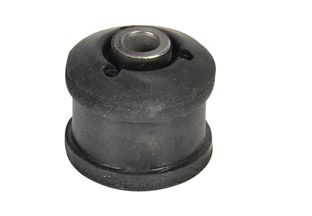 SALINCAK BURCU BUYUK POLO