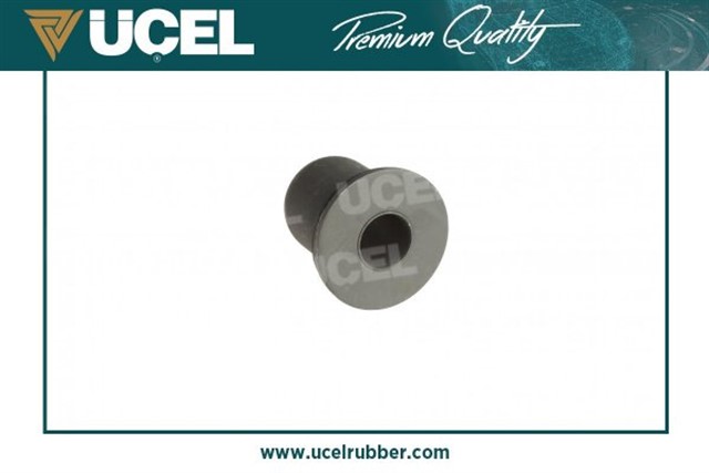 SALINCAK BURCU ON PULLU NISSAN INTERSTAR MINIBUS X70 DCI