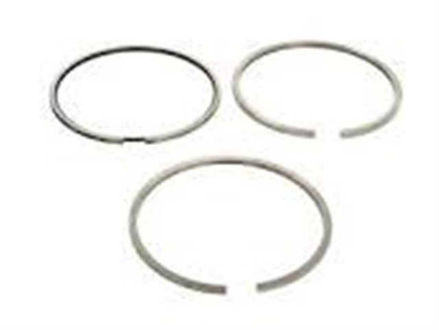 SEGMAN R.ROVER SPORT/DISCOVERY 3 81.50MM2.7 222