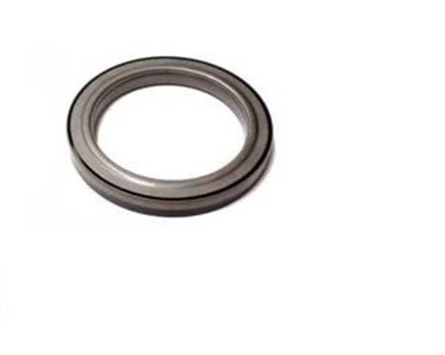 EKSANTRIK GERGI ZINCIRI DUCATO