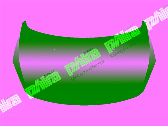 KAPUT ON SAC PEUGEOT 307 2005