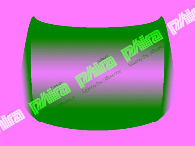 MOTOR KAPUTU PASSAT 06 - 11