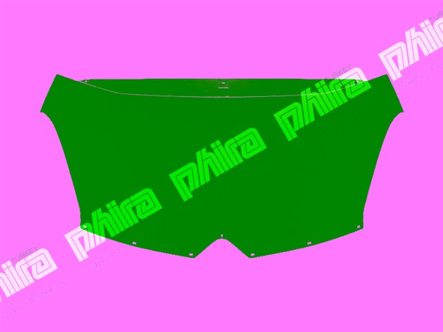 KAPUT ON SAC CITROEN C4 PICASSO 2006