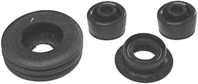 SANZUMAN KECESI ON CLIO II - KNG 1.5DCI