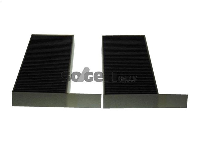 POLEN FILTRESI ASTRA L 21 P308 II - III 13 P508 18 KARBONLU