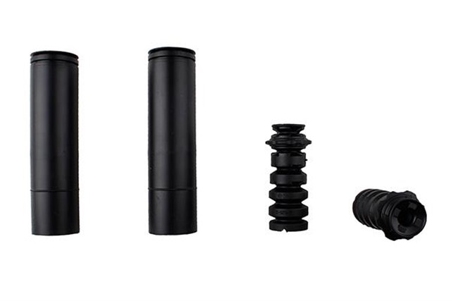 DUSTER LOGAN CAPTUR CLIO III H B1